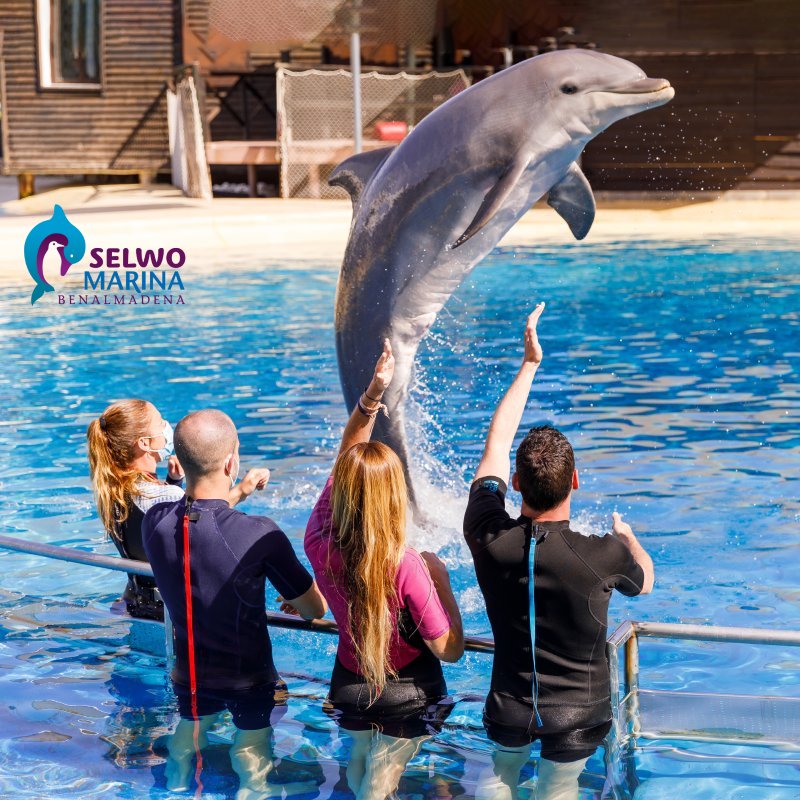 Selwo Marina